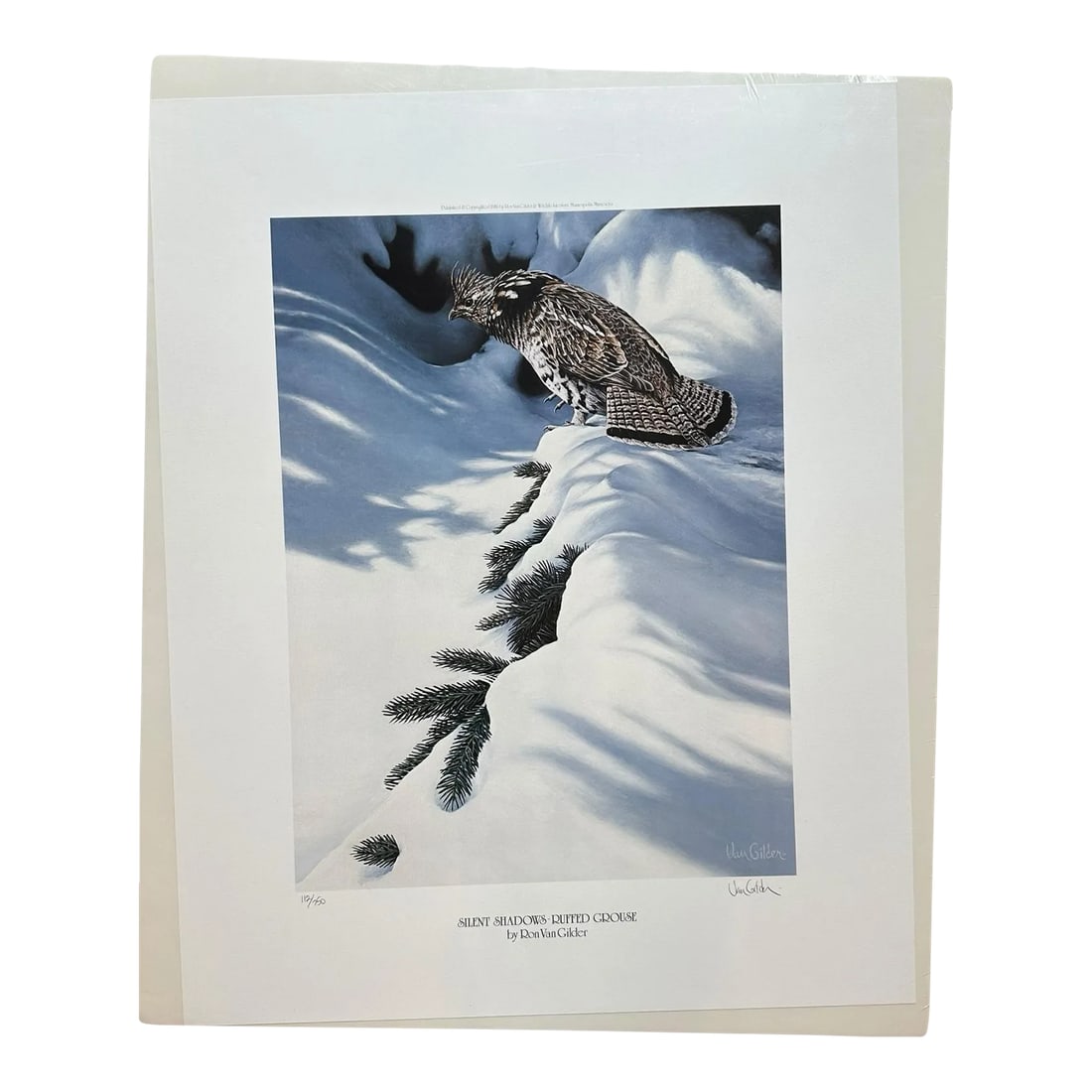 Signed Numbered Ron Van Gilder Limited Edition Color Lithograph Print Silent Shadows Ruffed Grouse: 1981 Ron Van Gilder Wildlife Print Shadows Series Ruffed Grouse in winter scene Edition Size 750 Published and Copyrighted 1981 by Ron Van Gilder & Wildlife Interiors, Minneapolis, Minnesota Artist: