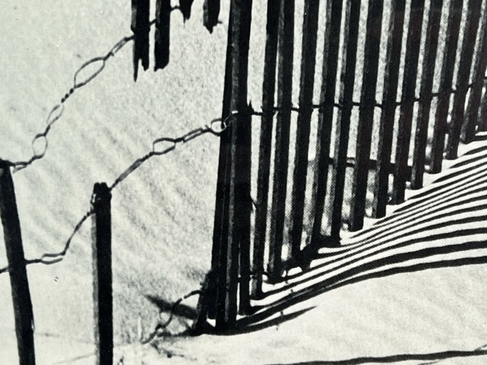 Vintage Framed Black & White Lithograph Print of a Beach Sand Dune Fence - 4