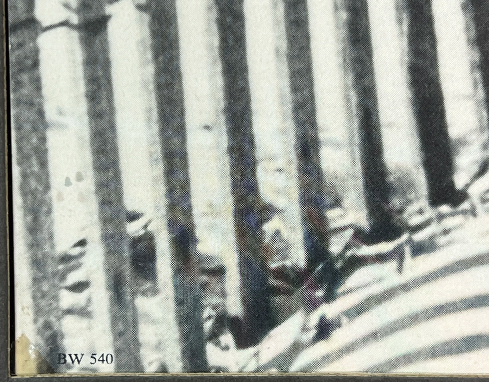 Vintage Framed Black & White Lithograph Print of a Beach Sand Dune Fence - 5