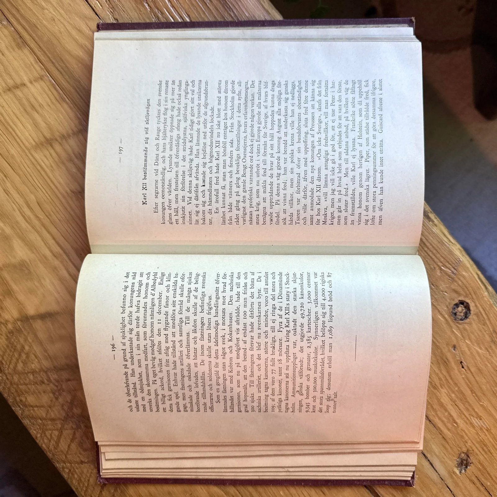 1903 Antique Historical Literature Hardcover-Swedish 'Karl Den Tolfte Och Hans Man Lifsbilder Fran S - 6