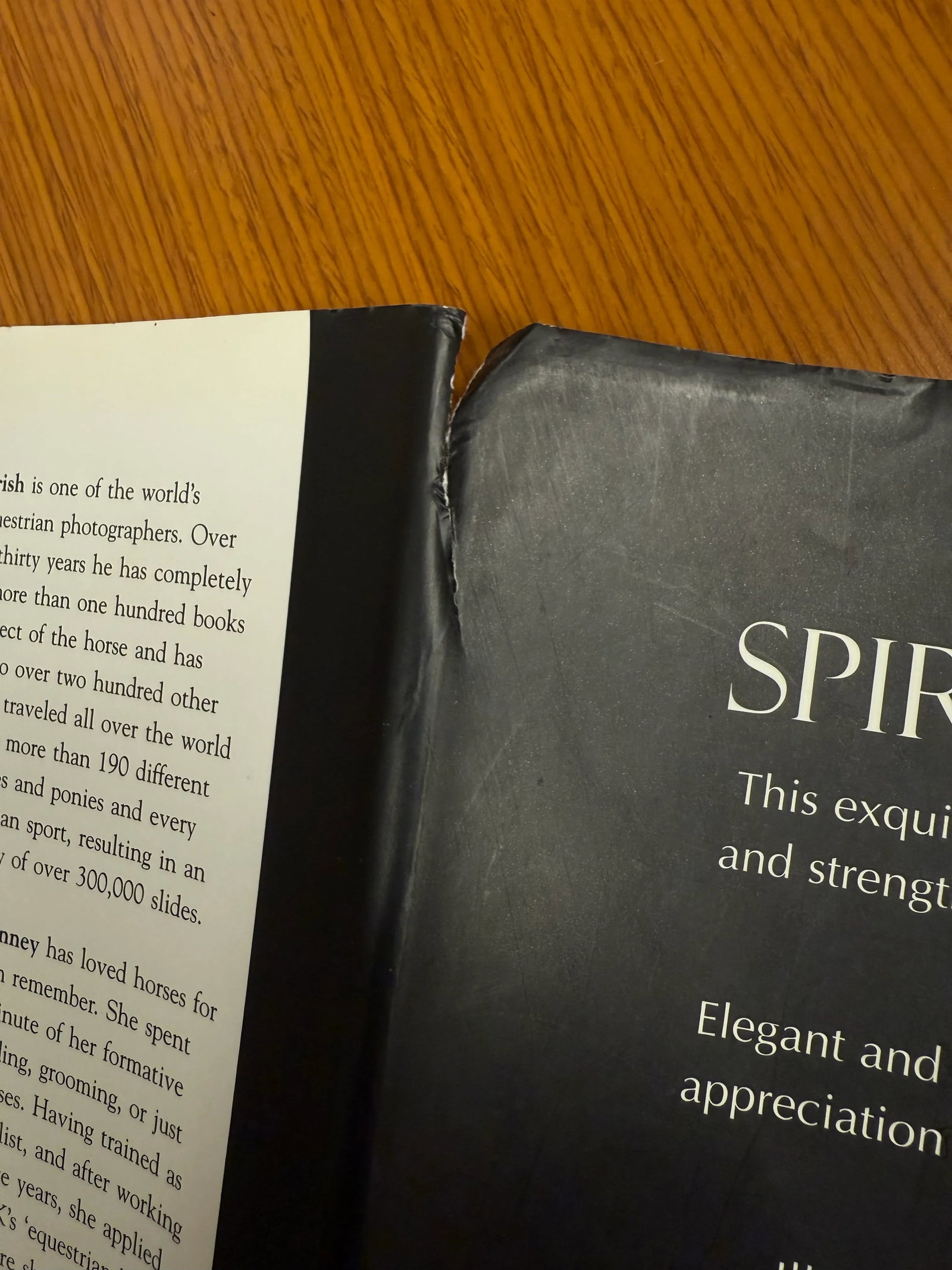 Spirit of the Horse Coffee Table Book Hardcover 2006 - 12