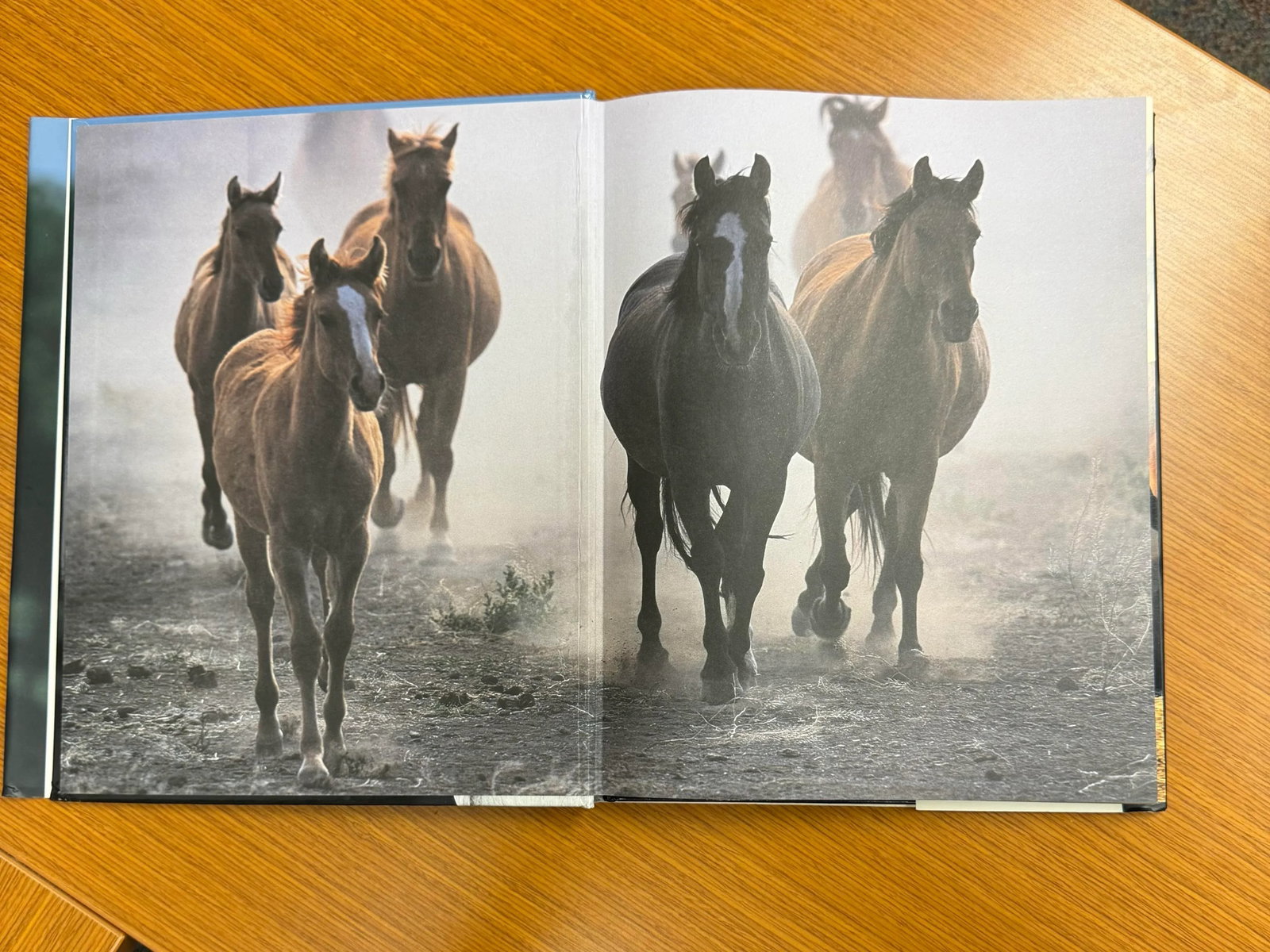 Spirit of the Horse Coffee Table Book Hardcover 2006 - 2