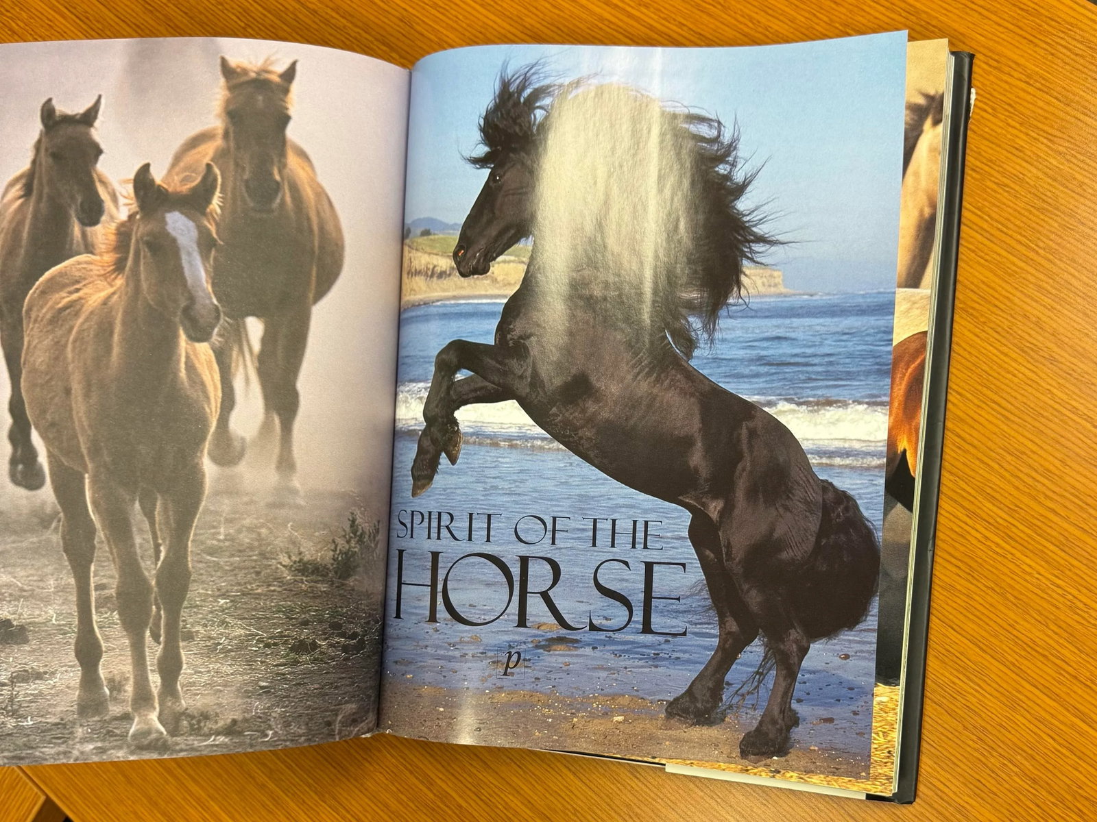 Spirit of the Horse Coffee Table Book Hardcover 2006 - 3