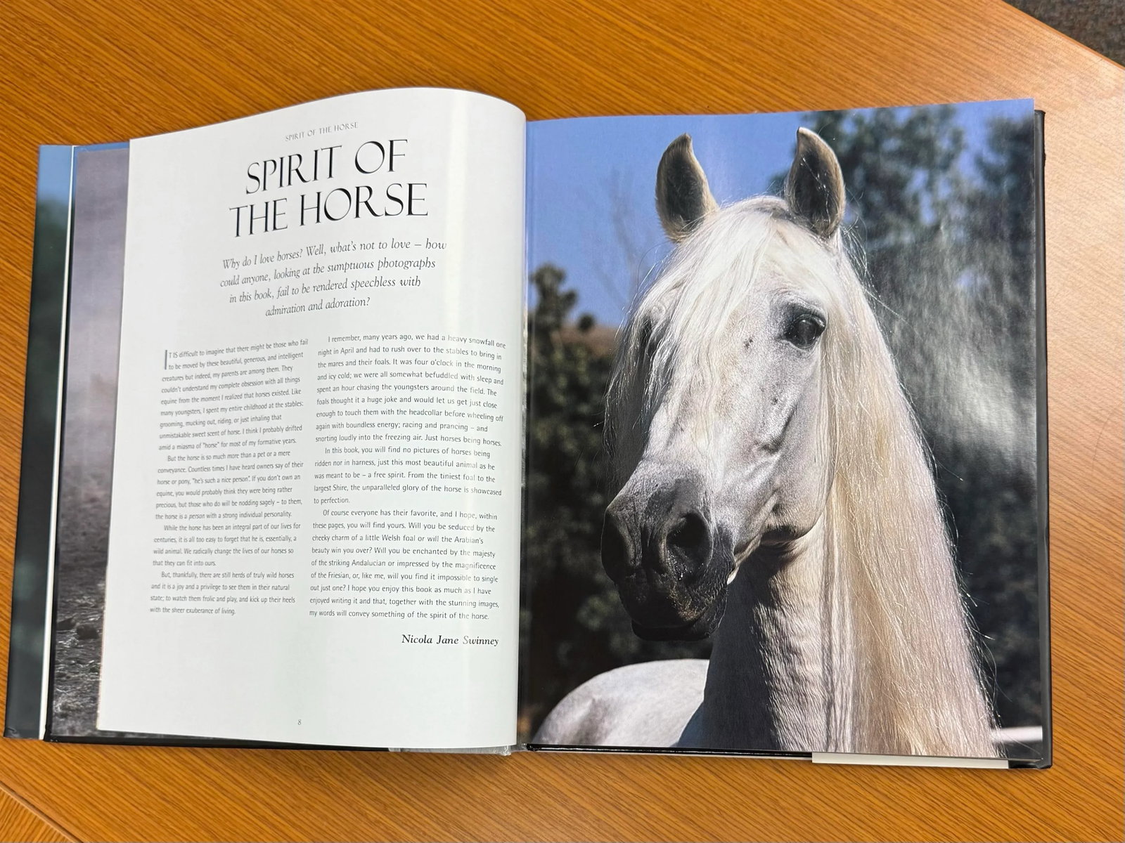Spirit of the Horse Coffee Table Book Hardcover 2006 - 4