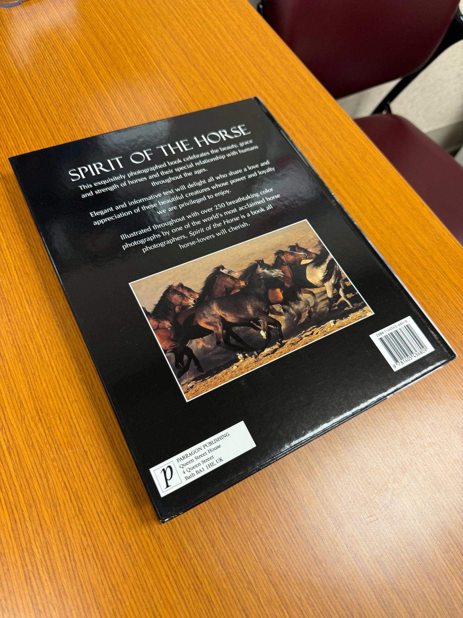Spirit of the Horse Coffee Table Book Hardcover 2006 - 5