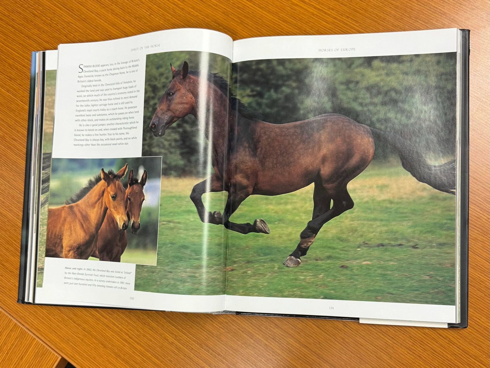 Spirit of the Horse Coffee Table Book Hardcover 2006 - 7