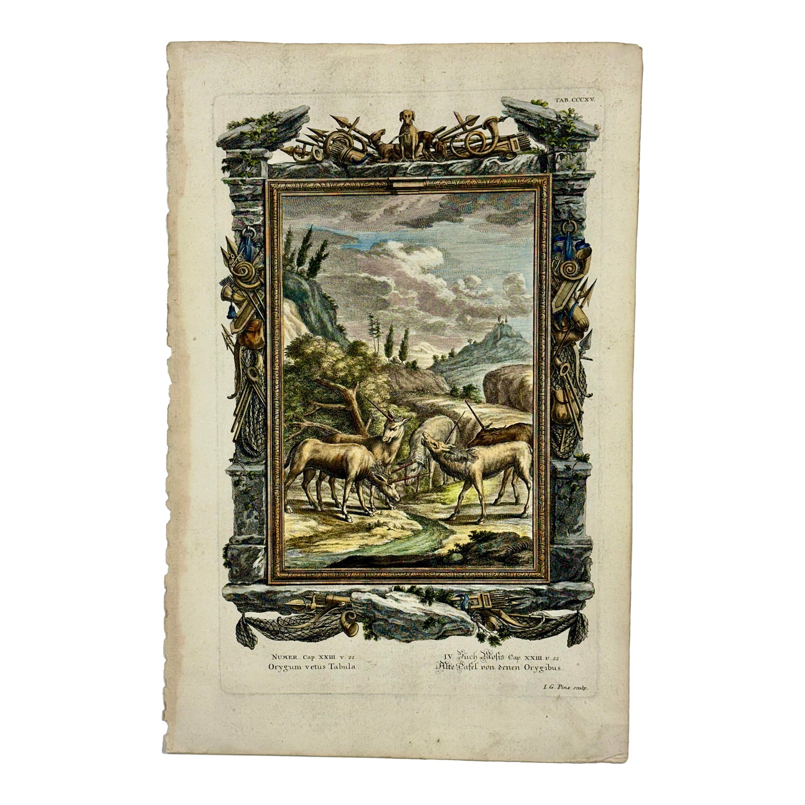 Antelopes Original Print by Johann Jakob Scheuchzer, 1731: Original hand colored antique copperplate engraving, specifically Plate CCCXV from Johann Jakob Scheuchzer's multi-volume work Physica Sacra, published between 1731 and 1735. The work was a significan