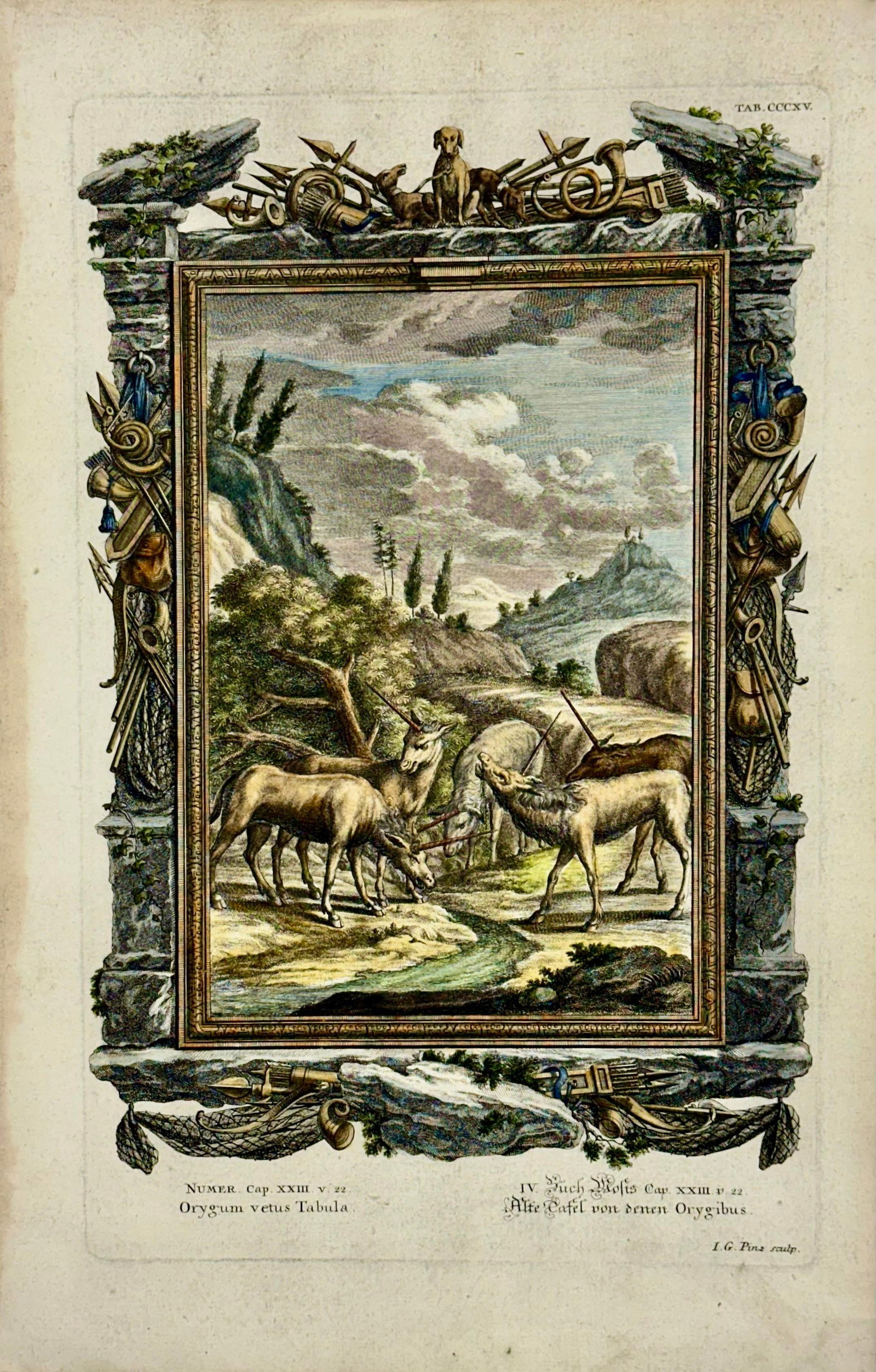 Antelopes Original Print by Johann Jakob Scheuchzer, 1731 - 2