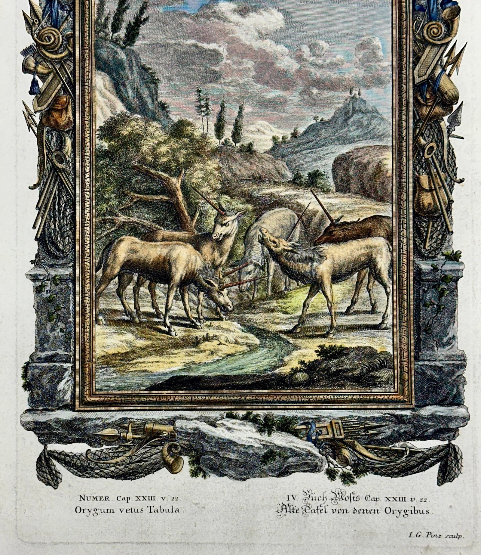 Antelopes Original Print by Johann Jakob Scheuchzer, 1731 - 3