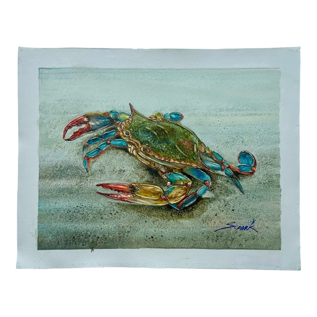 Blue Crab Coastal Oil Painting on Canvas, Unstretched, by S. Park: Original oil on canvas on unstretched canvas, measuring 16 x 12". Signed by artist S. Park, circa 2024. Please note: If you purchase multiple items, we'll gladly combine shipping-just send us a messag