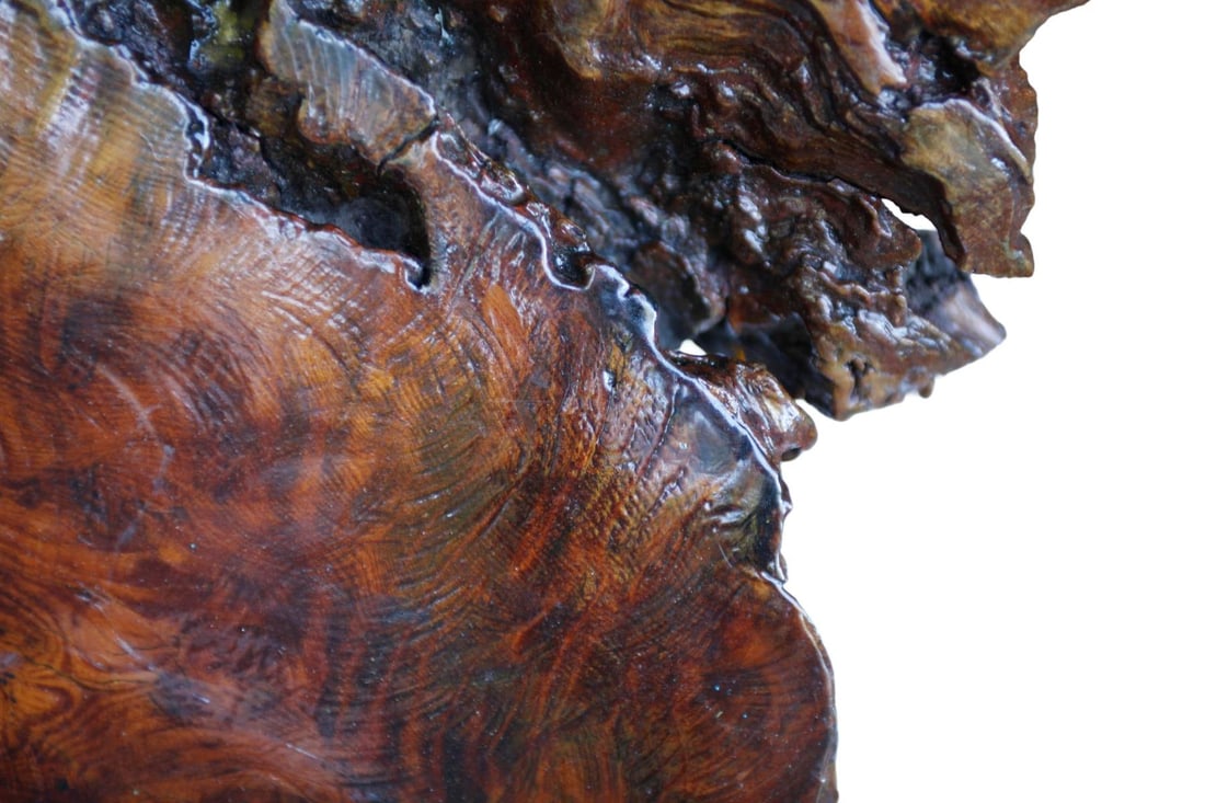 Vintage MCM Live Edge Coffee Table - 9