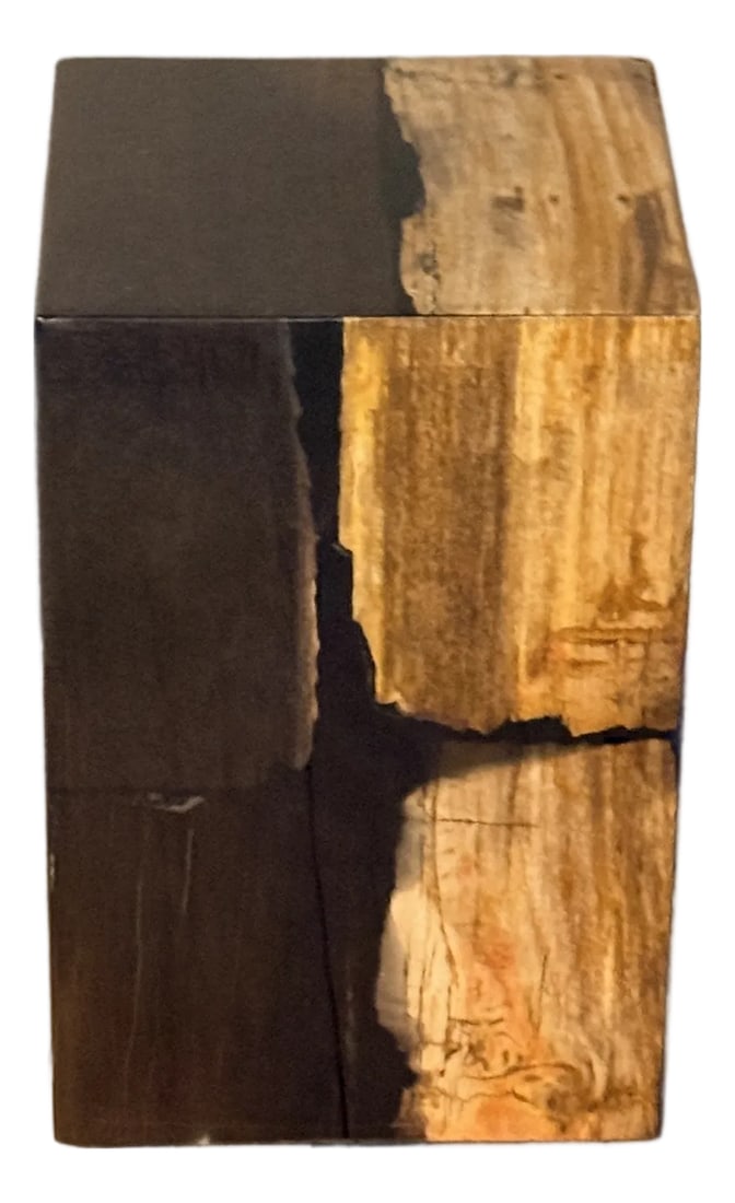 Made Goods Teo Mix Petrified Wood Stool or Side Table (1 of 7)