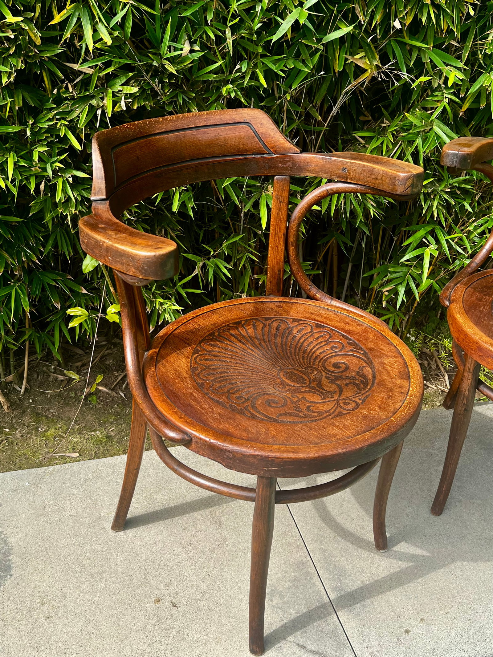 Pair of Antique Thonet-Style Bentwood Armchairs - 2