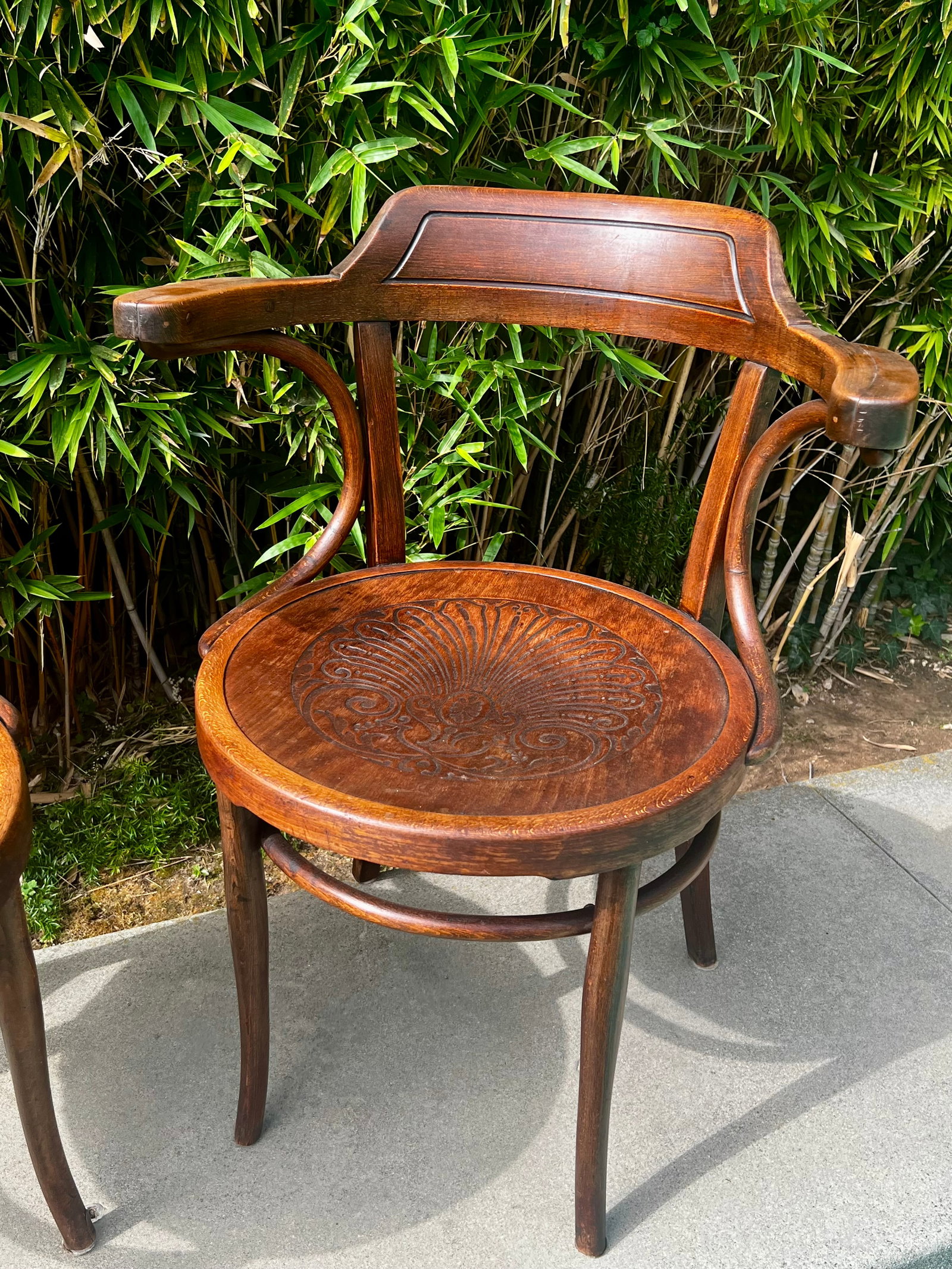 Pair of Antique Thonet-Style Bentwood Armchairs - 5