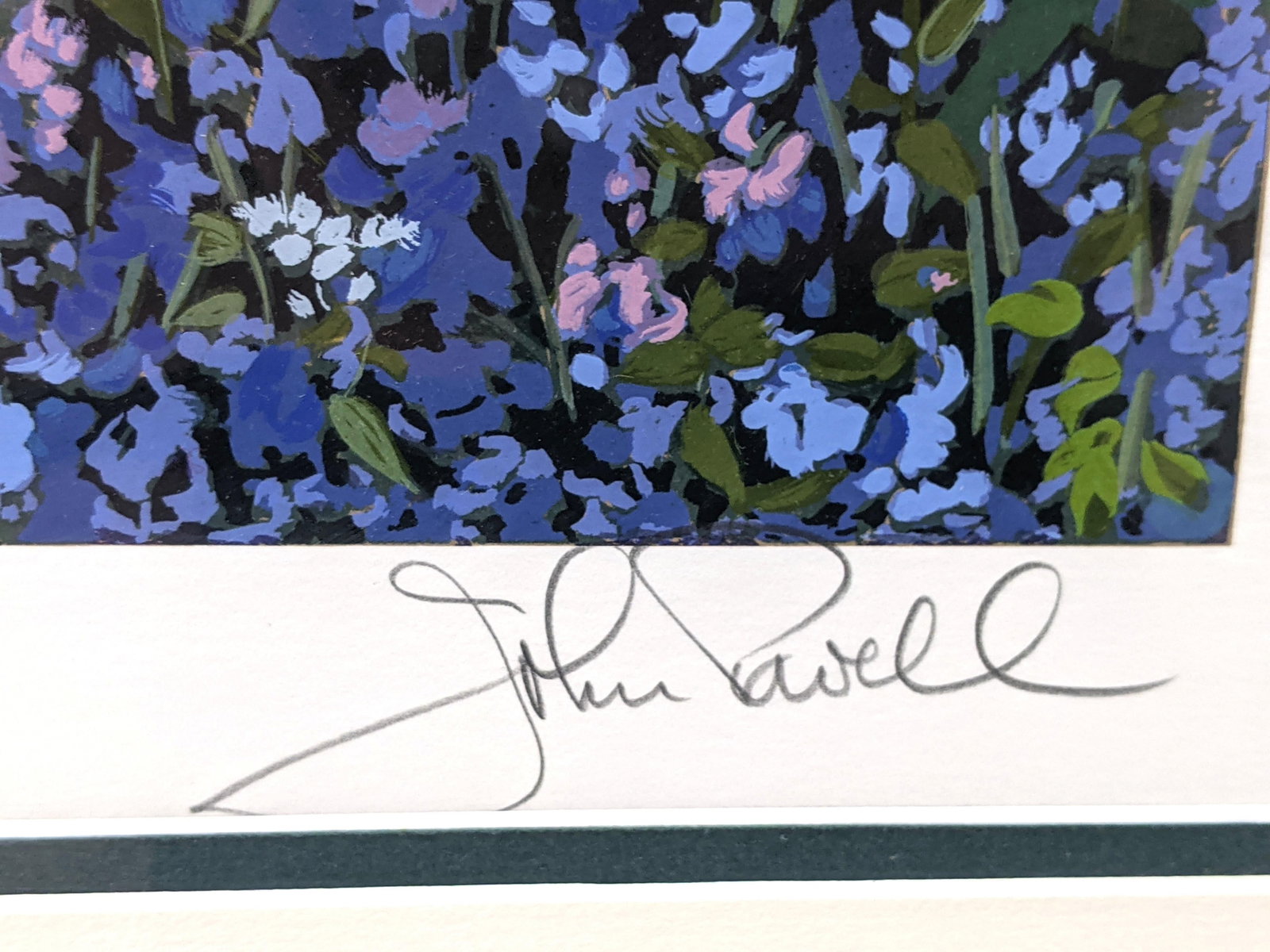 Late 20th Century John Powell Signed Limited Edition Print, Numbered 118/395, Framed Botanical Lands - 3