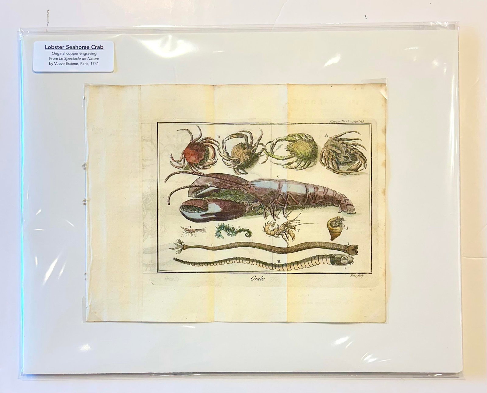 Lobster, Seahorse & Crab Original Engraving Le Spectacle De La Nature, Paris, 1741 - 2