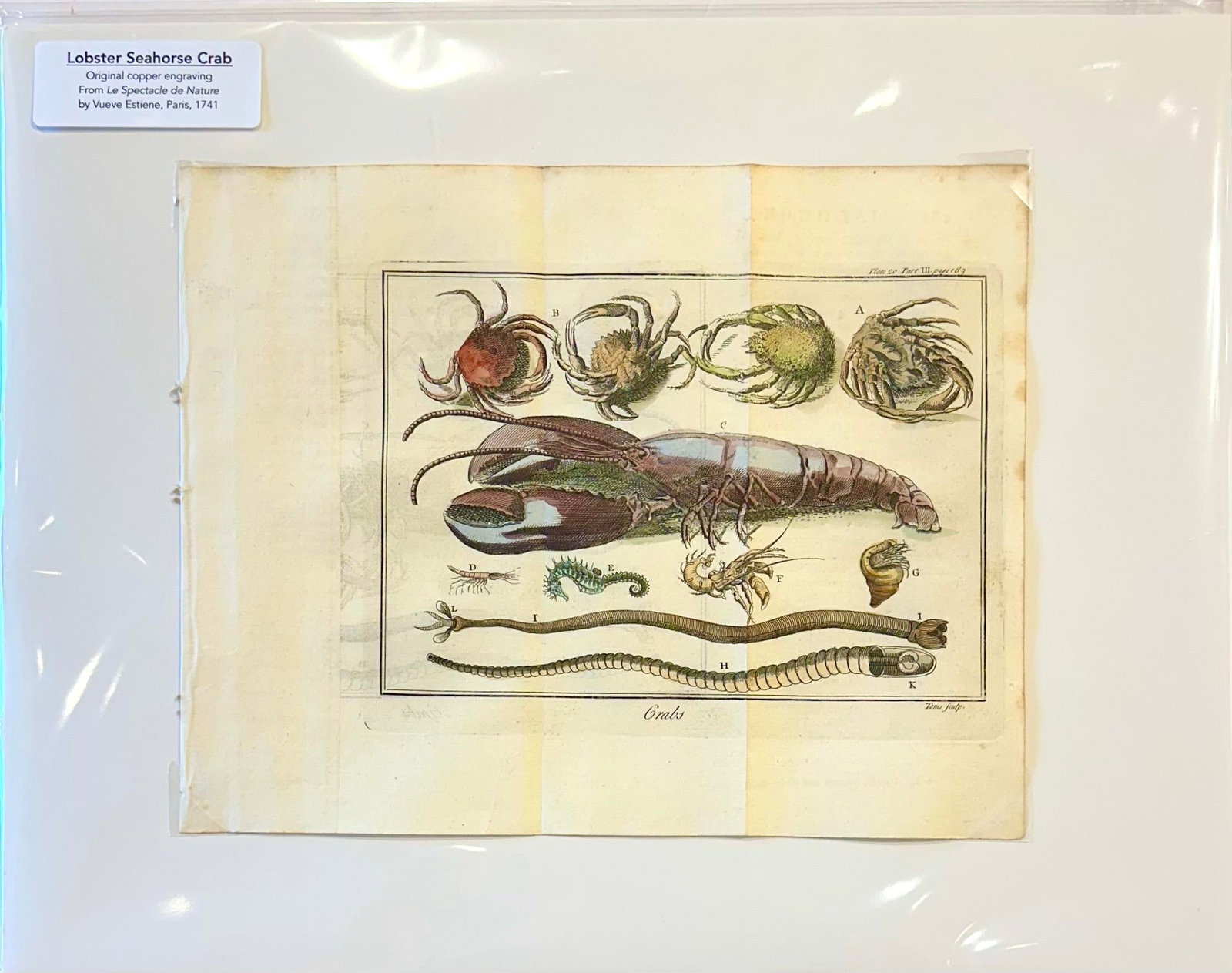Lobster, Seahorse & Crab Original Engraving Le Spectacle De La Nature, Paris, 1741 - 3