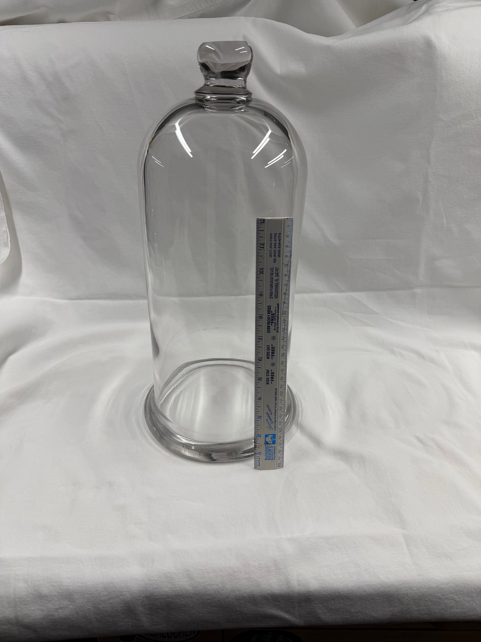 Early 20th Century Glass Cloche - 11