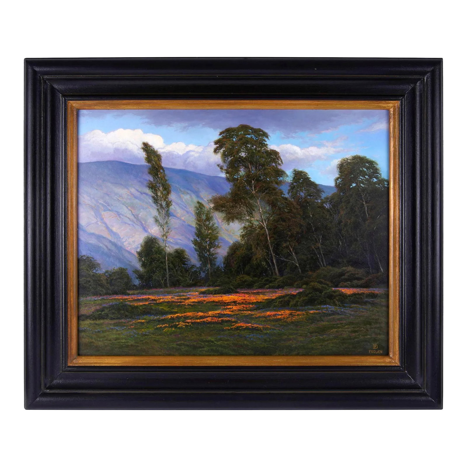 Dirk Foslien "Santa Barbara Poppies" Oil on Board (1 of 5)