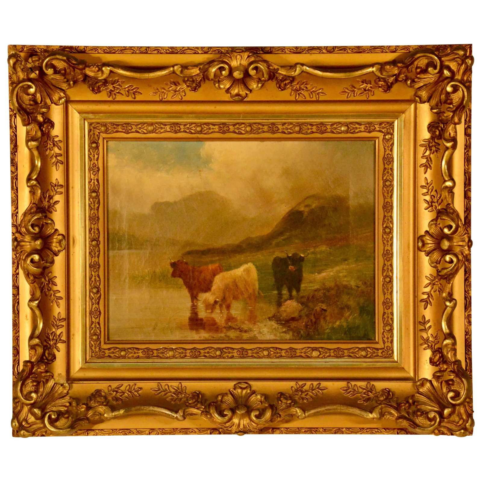 Oil on Canvas, Scottish Cattle: This oil on canvas depicts Scottish cattle with mountains and water. Painting measures 11.5" W x 8.57" H. Painting is signed in the bottom right corner but cannot make out the name. Believed to be by 