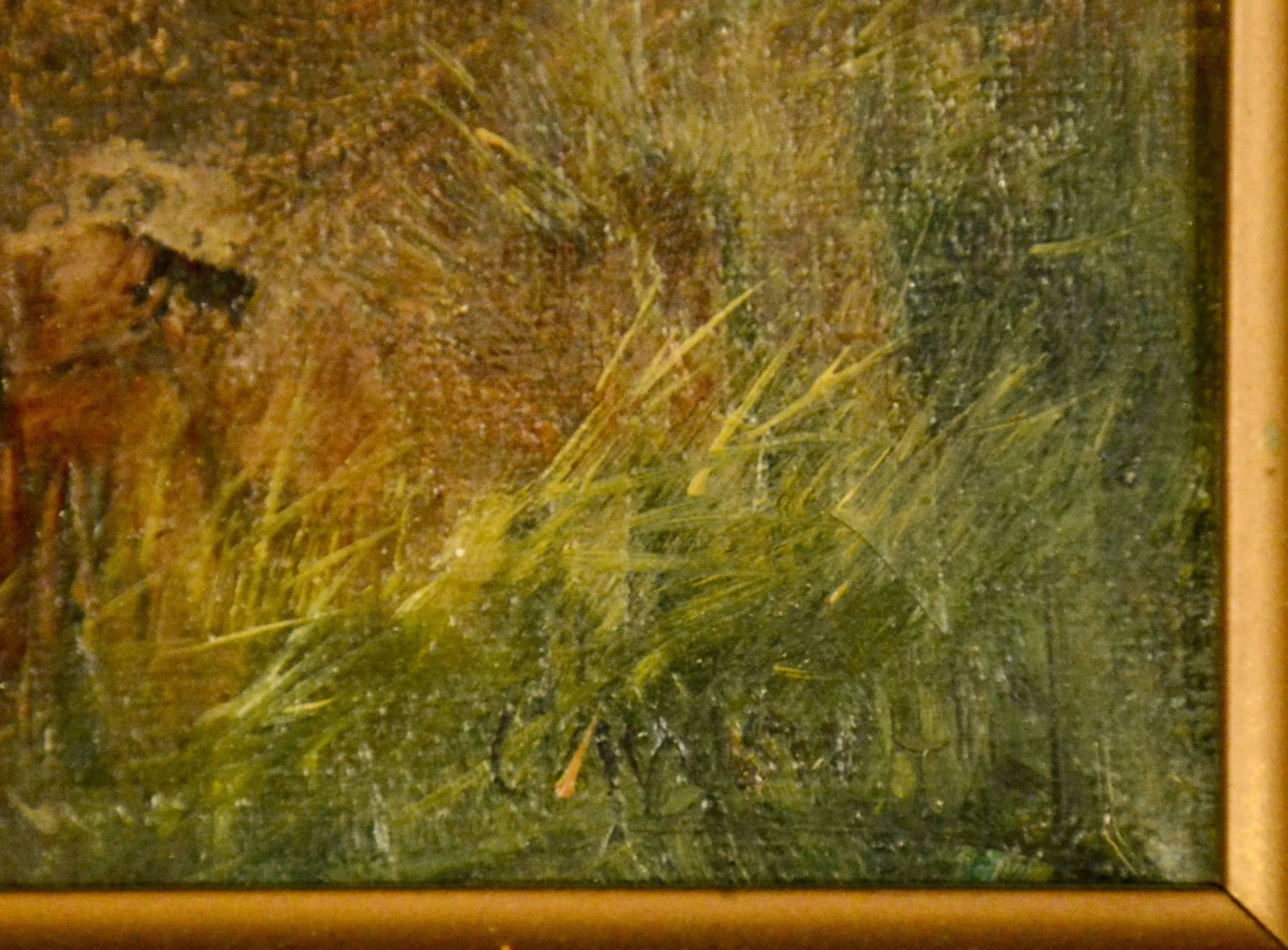 Oil on Canvas, Scottish Cattle - 6