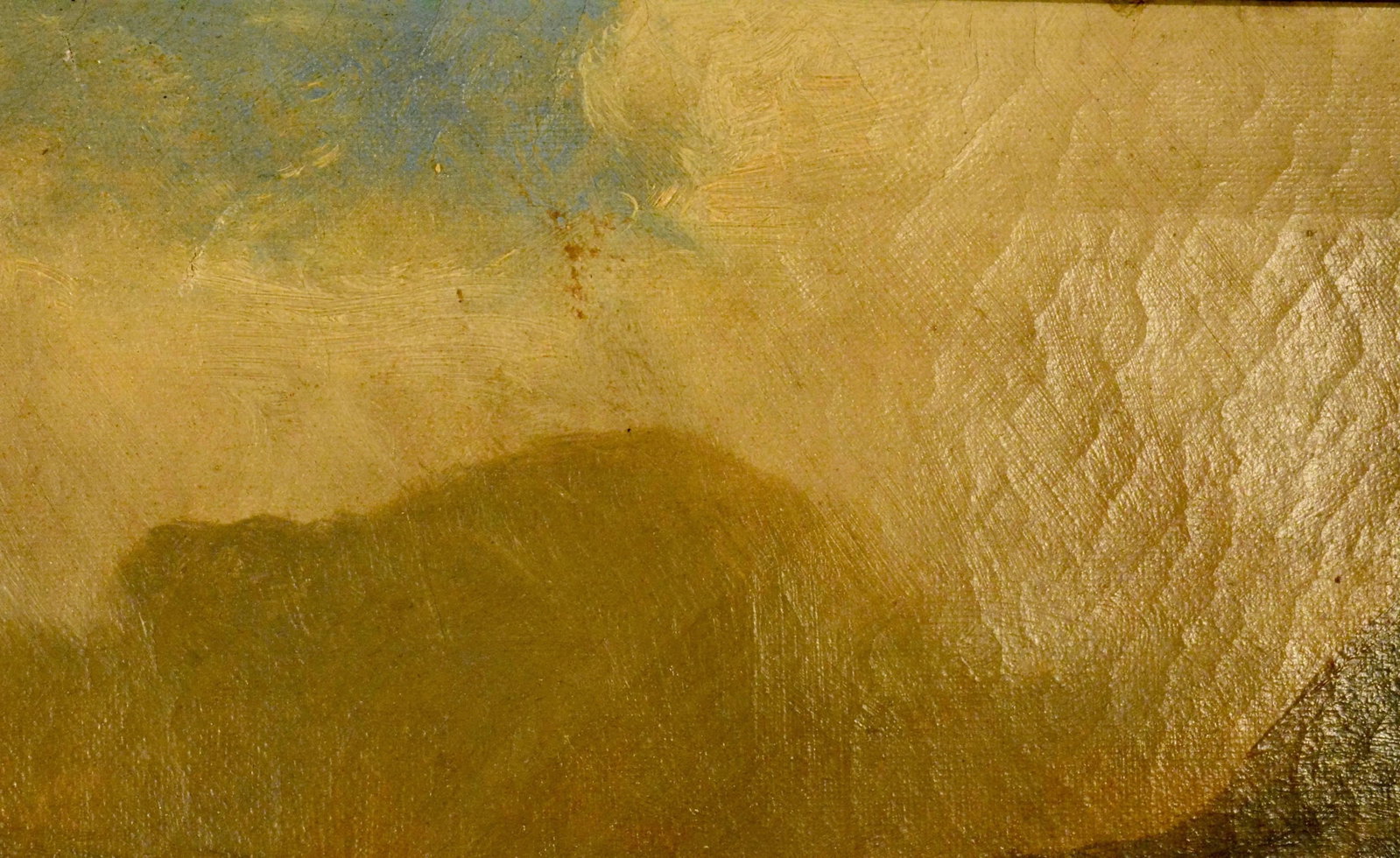 Oil on Canvas, Scottish Cattle - 7