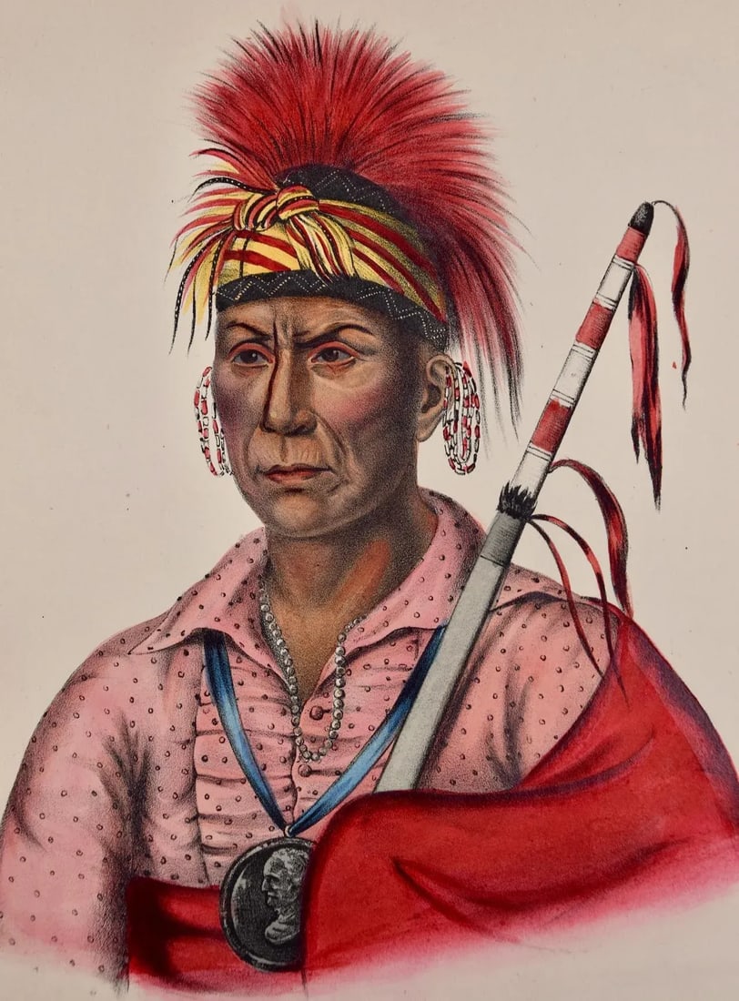 Tah-Ro-Hon, an Ioway Warrior: Original Hand-Colored McKenney & Hall Lithograph, 1848 - 3