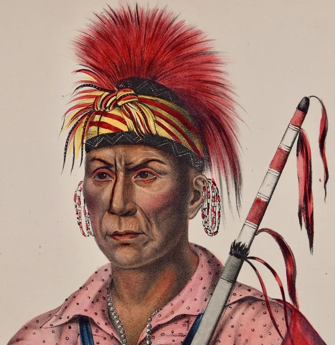 Tah-Ro-Hon, an Ioway Warrior: Original Hand-Colored McKenney & Hall Lithograph, 1848 - 4