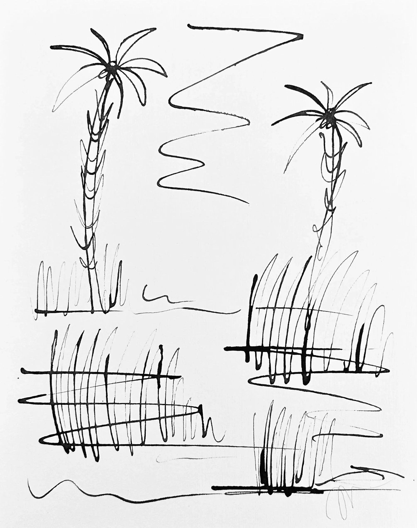 Haley Mathewes Original Lyford India Ink Palms Drawing (1 of 2)