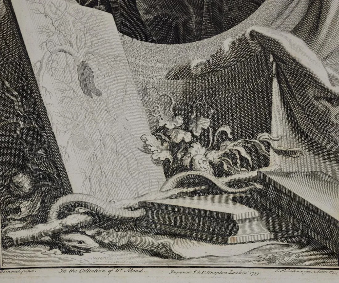 18th C. Portrait of William Harvey, MD Known for 17th C. Circulatory System Discoveries, 1739 - 5