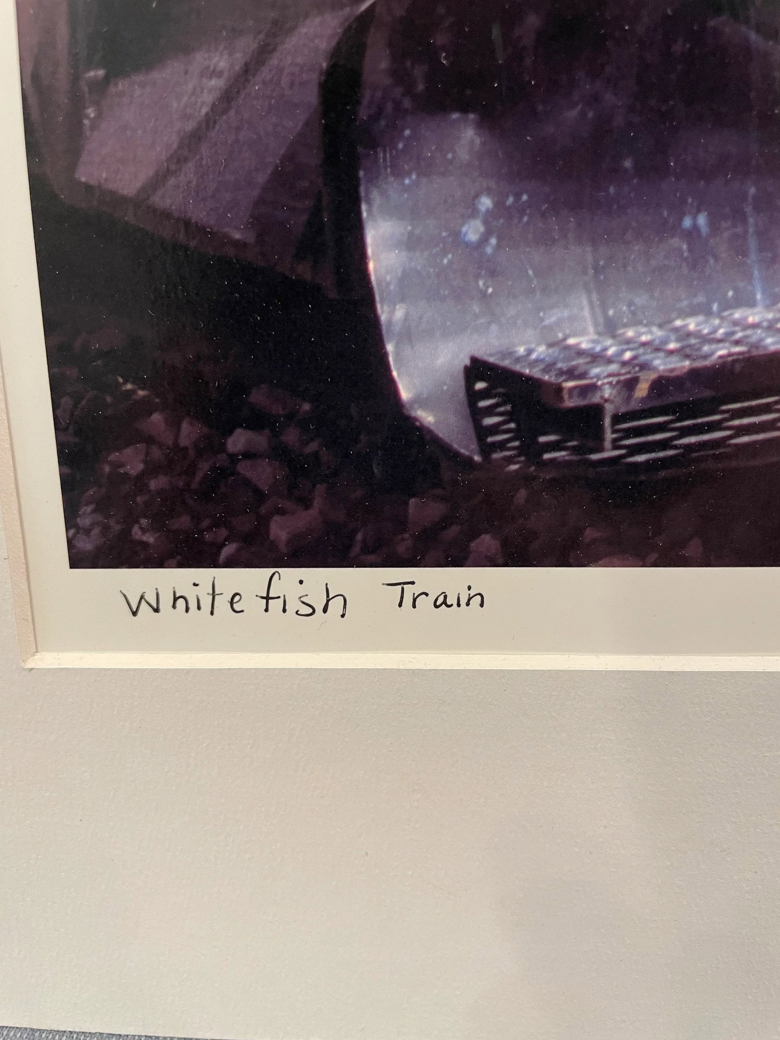 Yellow Train Photo - Whitefish, Montana by Vita Forlenza - Signed and Matted - 3