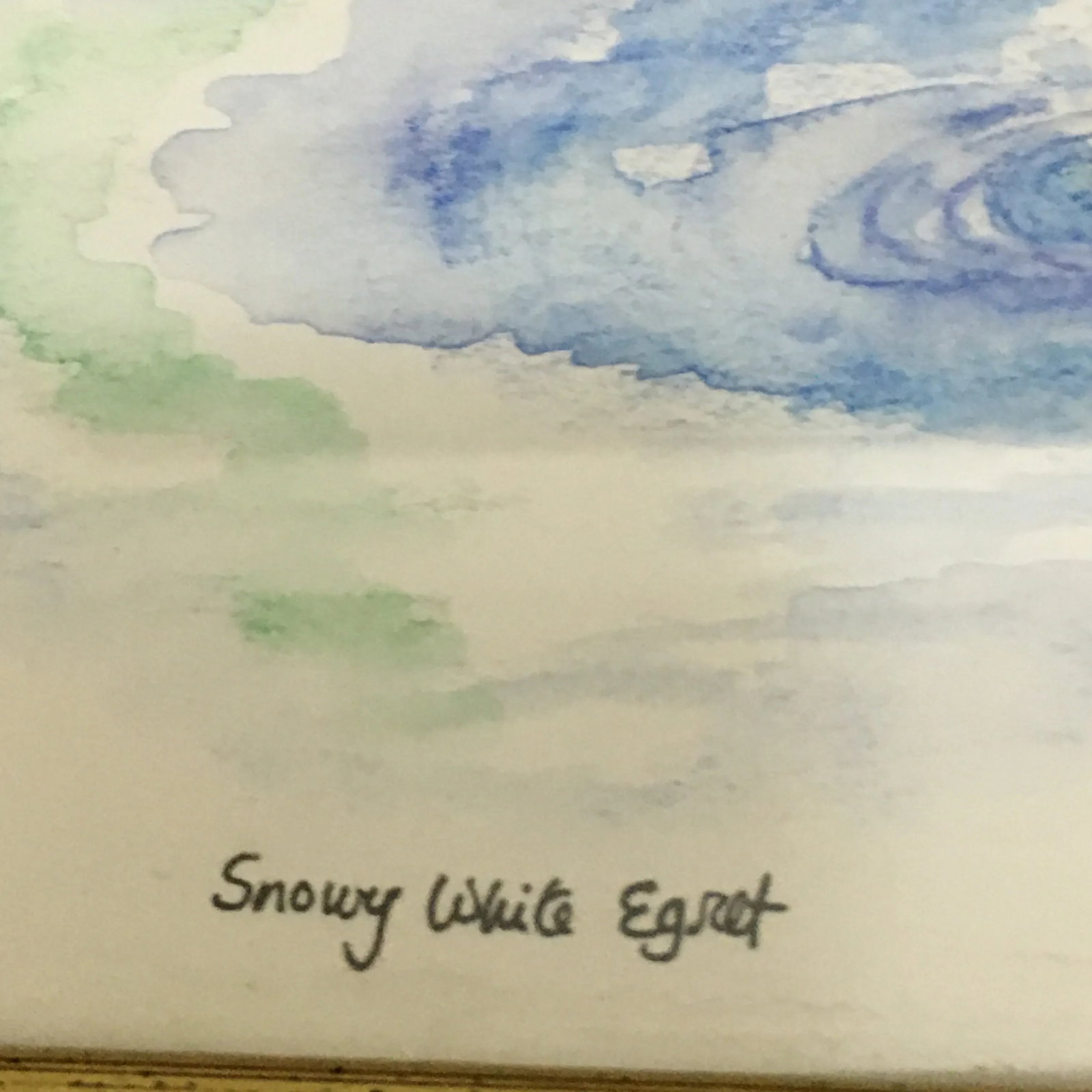 Snowy White Egret Tropical Watercolor Painting - 5