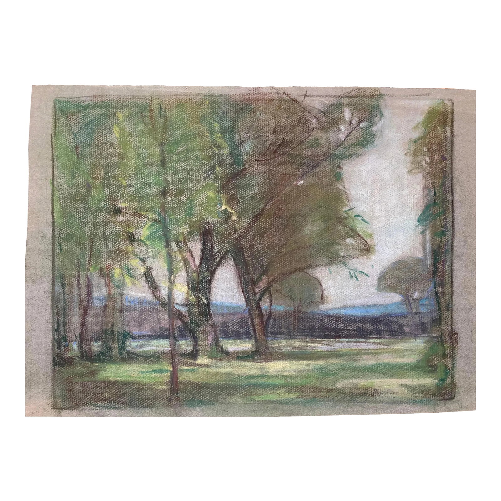 Trees in a Landscape, Antique, New Orleans, Southern States Art League, Wpa, Louis Raynaud: This fine pastel was one of two we acquired together, one signed, this one unsigned, but undoubtedly by New Orleans artist Louis Raynaud, not only obvious from the style but also because the Chicago