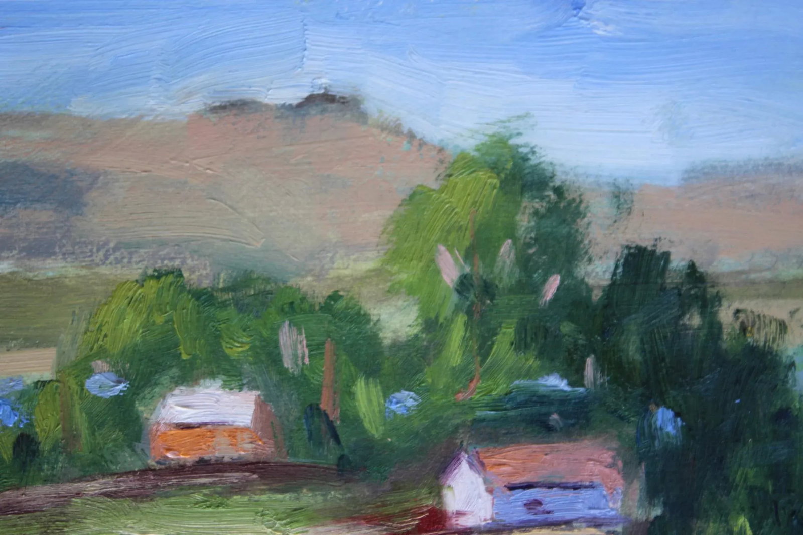 Modern Impressionist Plein Air California, Original Oil Painting - 10