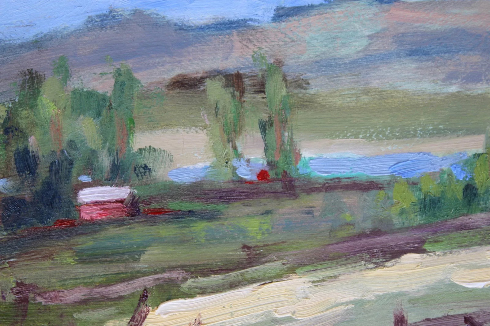Modern Impressionist Plein Air California, Original Oil Painting - 9