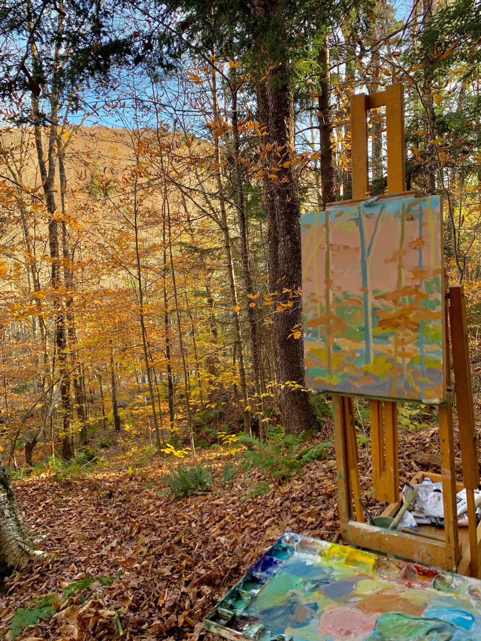 Contemporary Expressionist Landscape Painting, Autumn Sunshine on the Mountainside, by Stephen Remic - 2