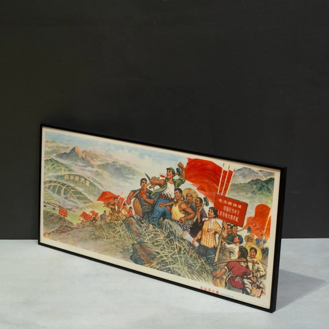 Original Vintage Chinese Propanda Poster, Lessons From Dazhai, 1960 - 5