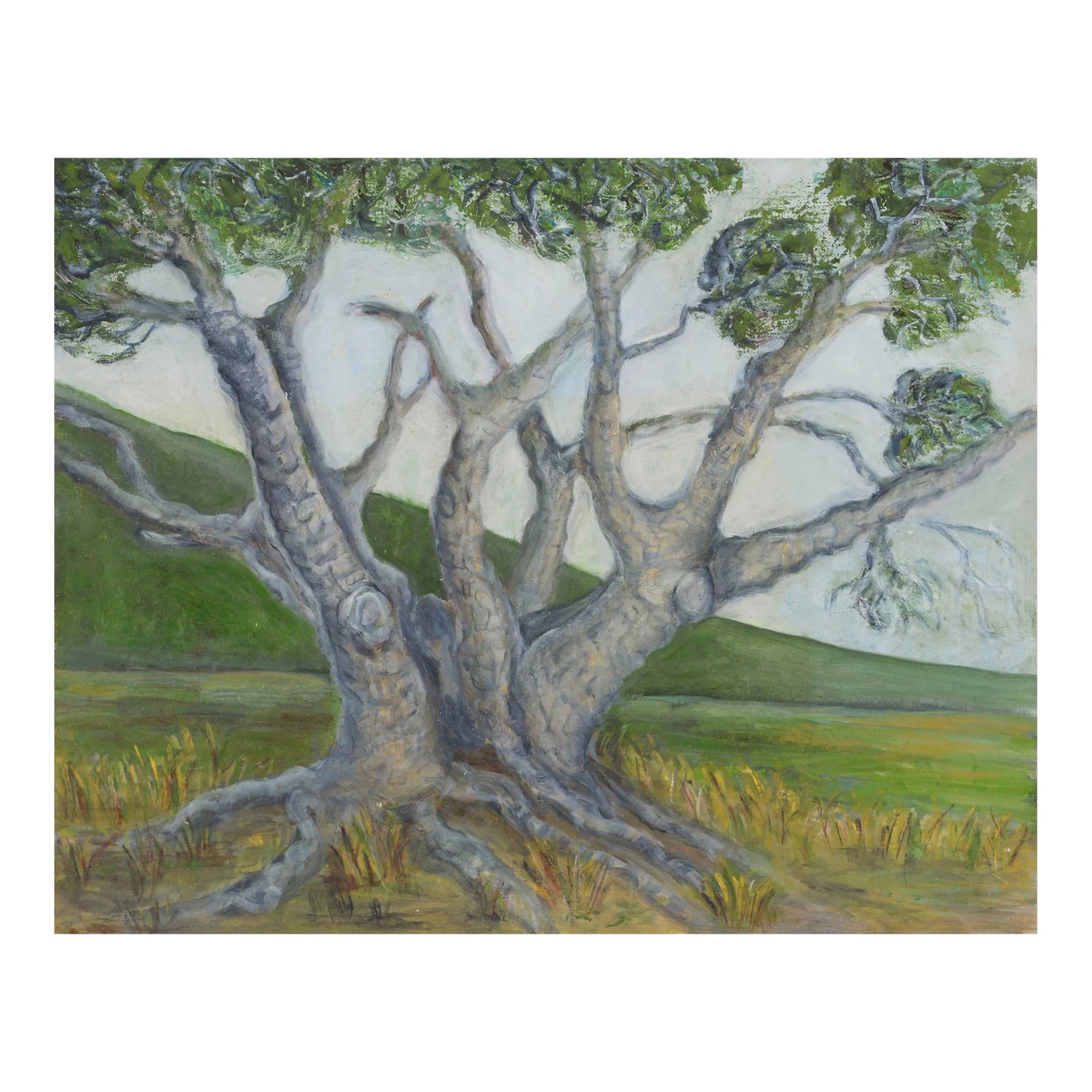 Mid Century California Landscape With Tree by Genevieve Rogers: A beautiful landscape oil painting depicting a stately tree with green mountains in the background by California artist Genevieve Rogers (American, 20th Century). Unsigned but acquired with a
