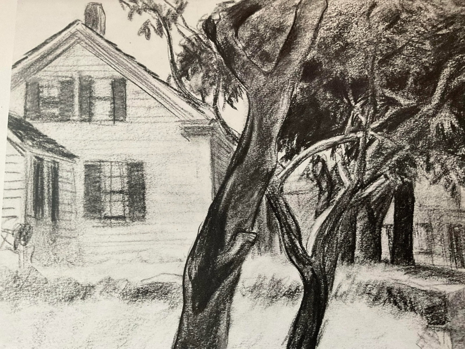 Edward Hopper, House and Trees, Vintage Print - 4