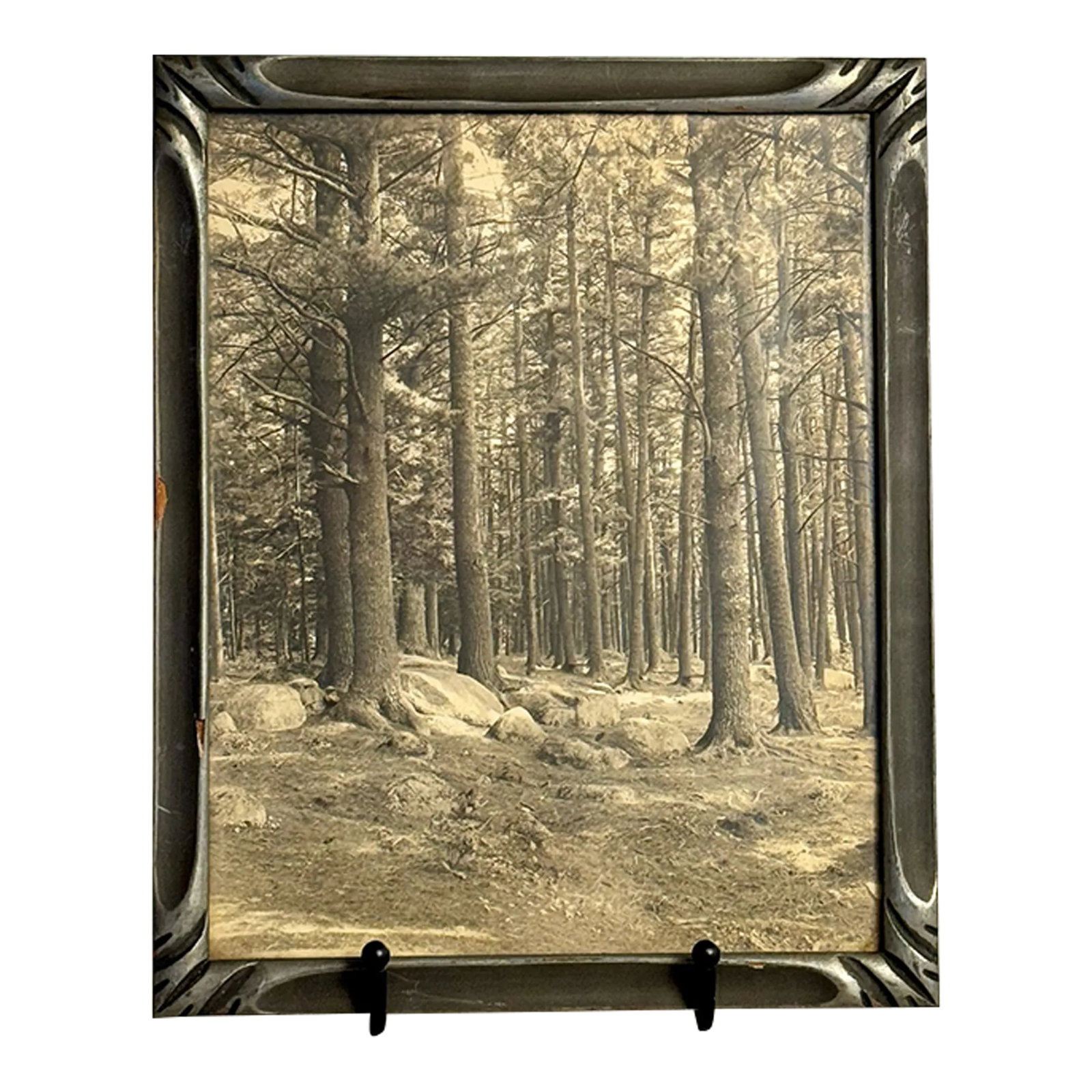 1900s Antique Black and White Forest Scene Photograph: Antique B/W photograph of "Cathedral Woods" circa 1920s. Framed in North Conway, NH. Great art deco frame, and forest scene is beautiful Condition: Alterations: Original Condition Unaltered