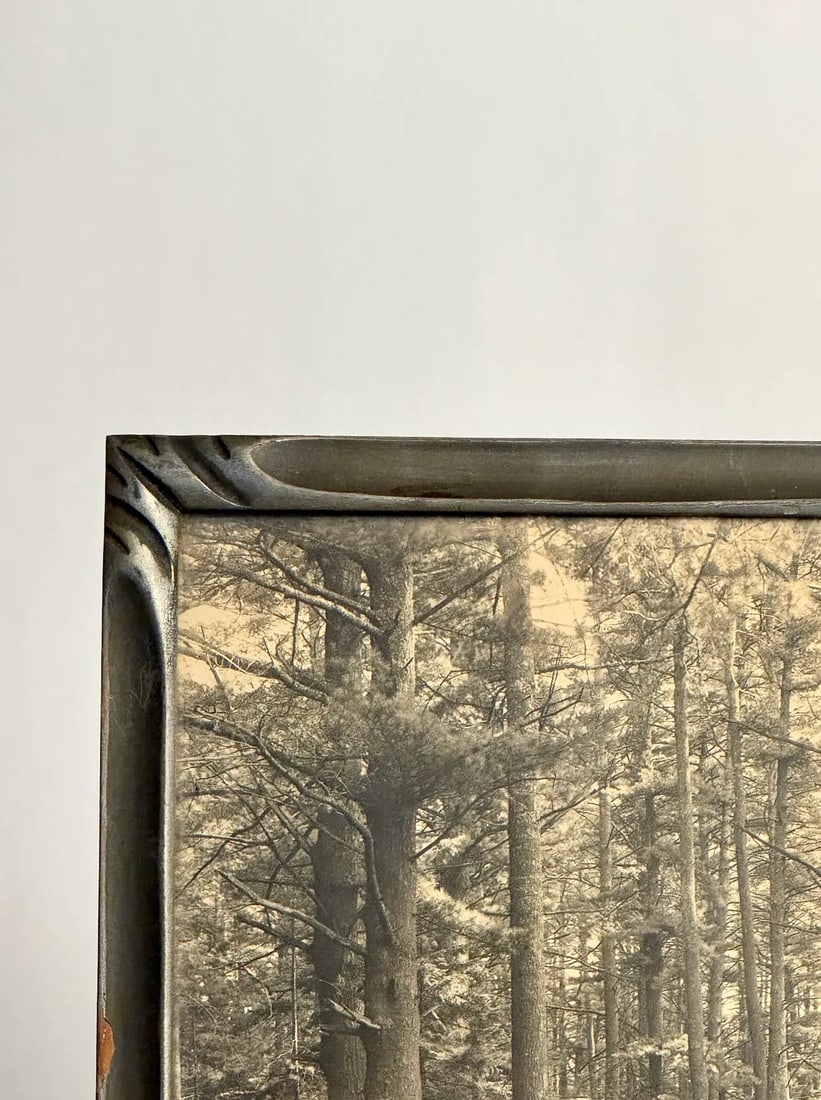 1900s Antique Black and White Forest Scene Photograph - 2