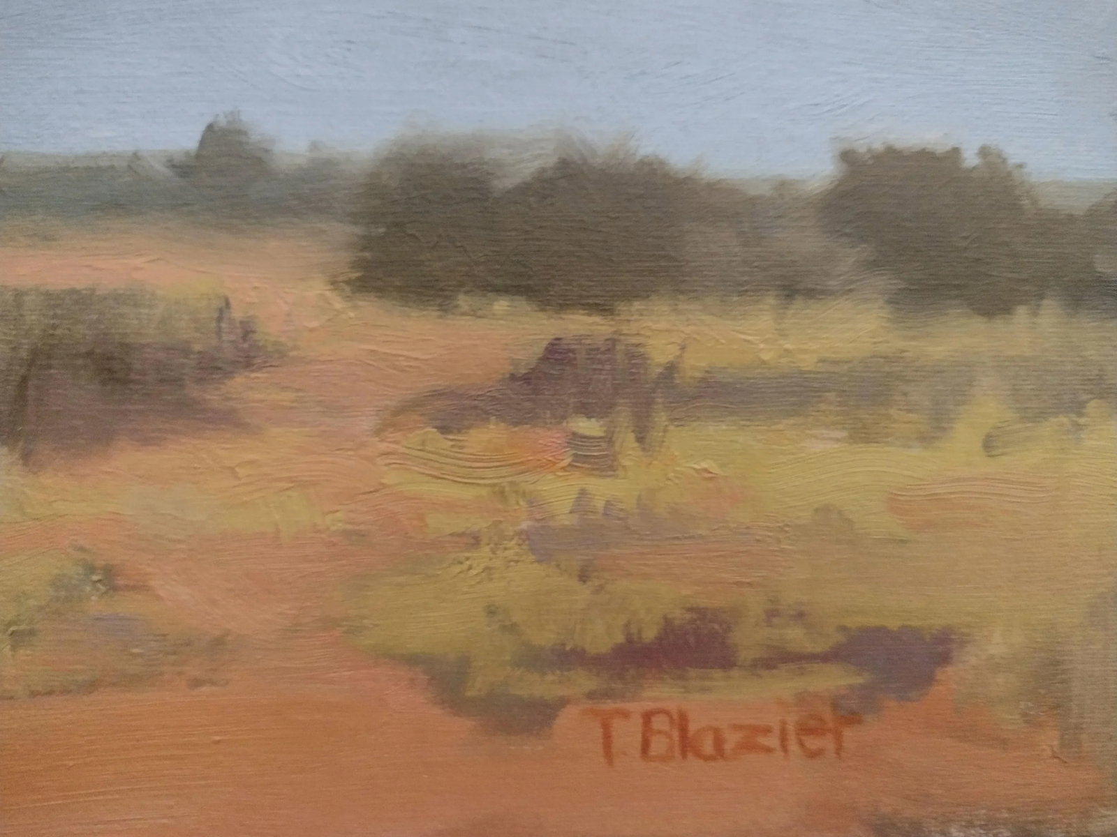 Original Oil Painting by Tom Blazier - Southwestern Landscape 30" X 30" - 7