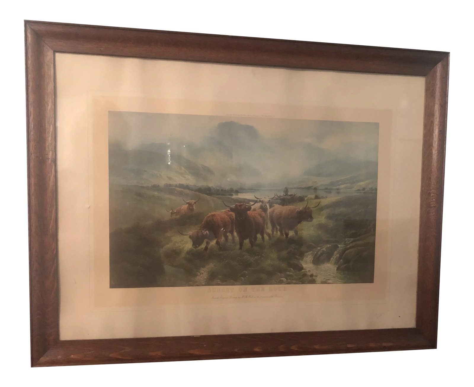 Scottish Cattle Framed Print: Framed print in a tiger oak wood frame with glass. Print shows cattle in pasture in Scotland Condition: Alterations: Original Condition Unaltered Imperfections: Some Imperfections Condition Notes: