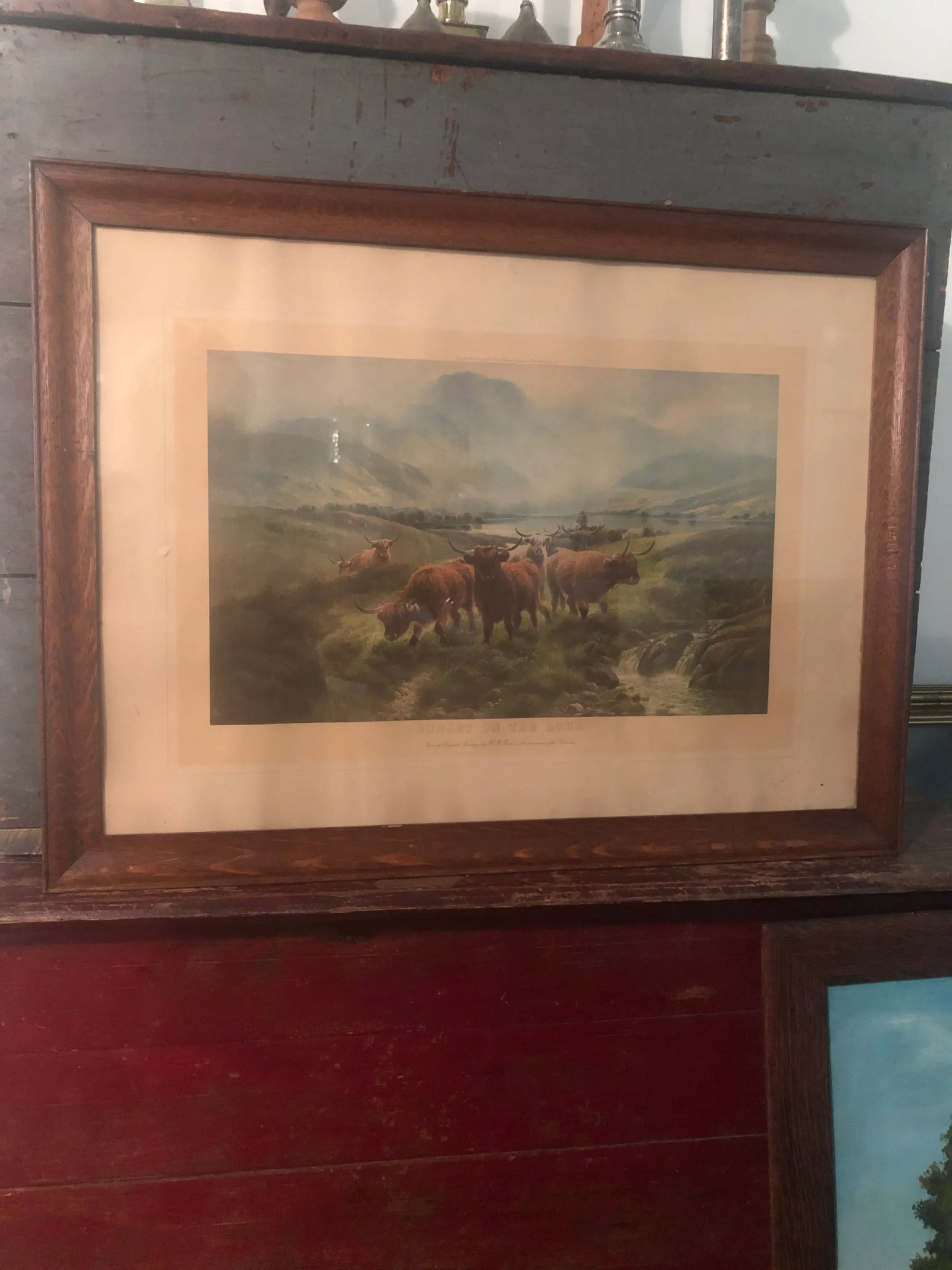 Scottish Cattle Framed Print - 7