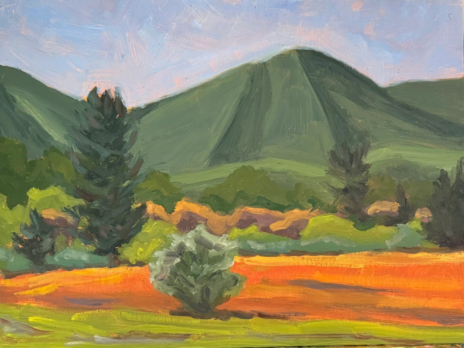 "Shenandoah Mountain, Bath County, Virginia" Contemporary Landscape Oil Painting by Teresa DiMarco: This landscape oil painting was painted onsite, "en plein air" in Bath County, Virginia, at Fort Lewis Farm. The landscape of fields, trees and mountains is painted on a bright sunny day in May.