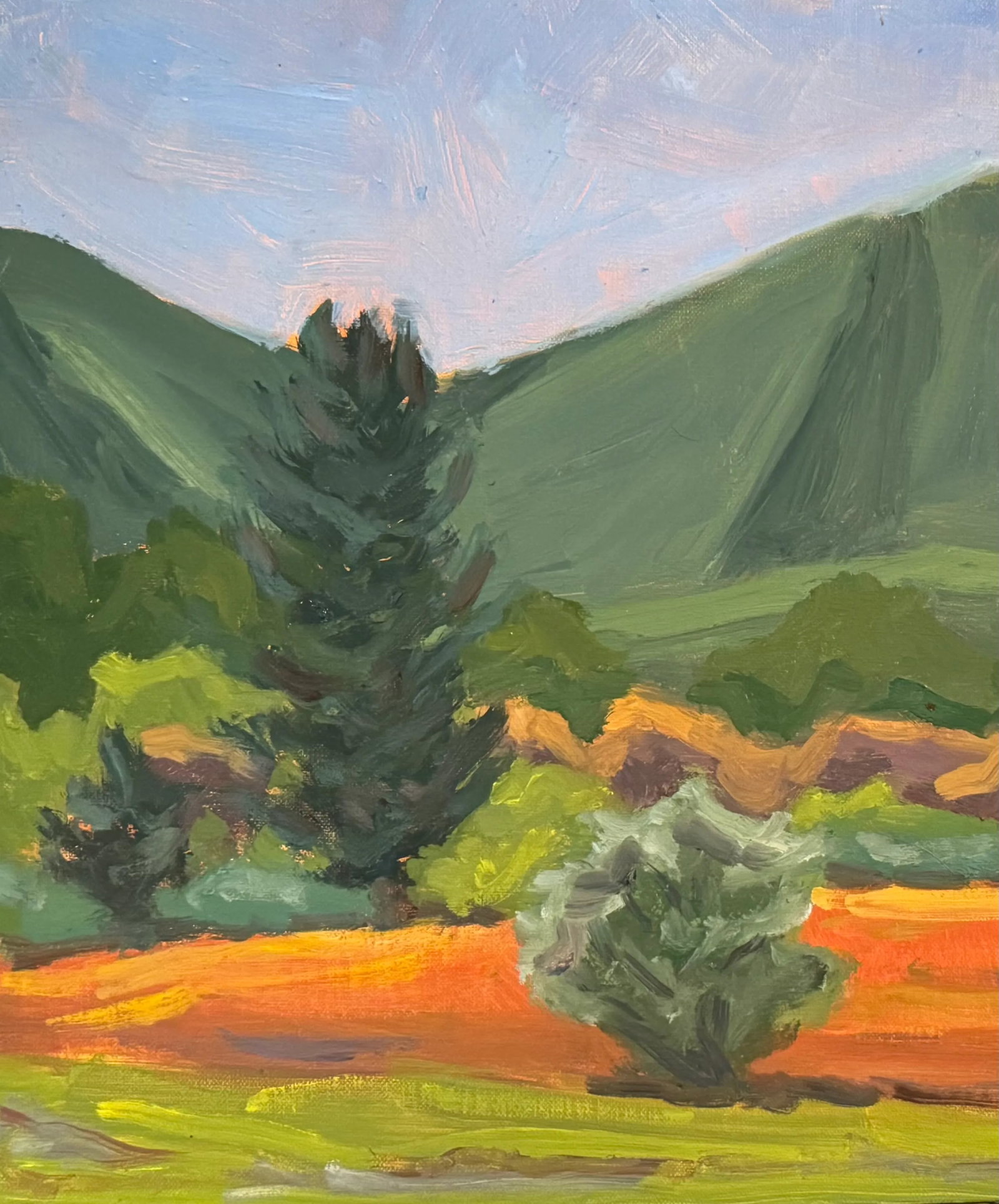 "Shenandoah Mountain, Bath County, Virginia" Contemporary Landscape Oil Painting by Teresa DiMarco - 2