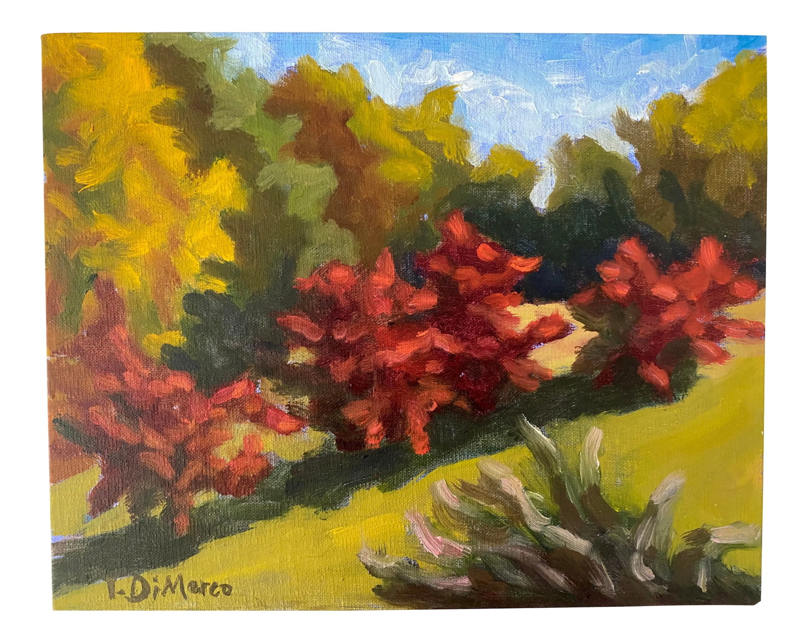 Contemporary Landscape Oil Painting "Red Foliage" by Teresa DiMarco: This landscape oil painting, "Red Foliage", was painted onsite, "en plein air" in Bath County, Virginia, in the Allegheny Mountains. The subject-a landscape view from the Bend House at Fort Lewis-is