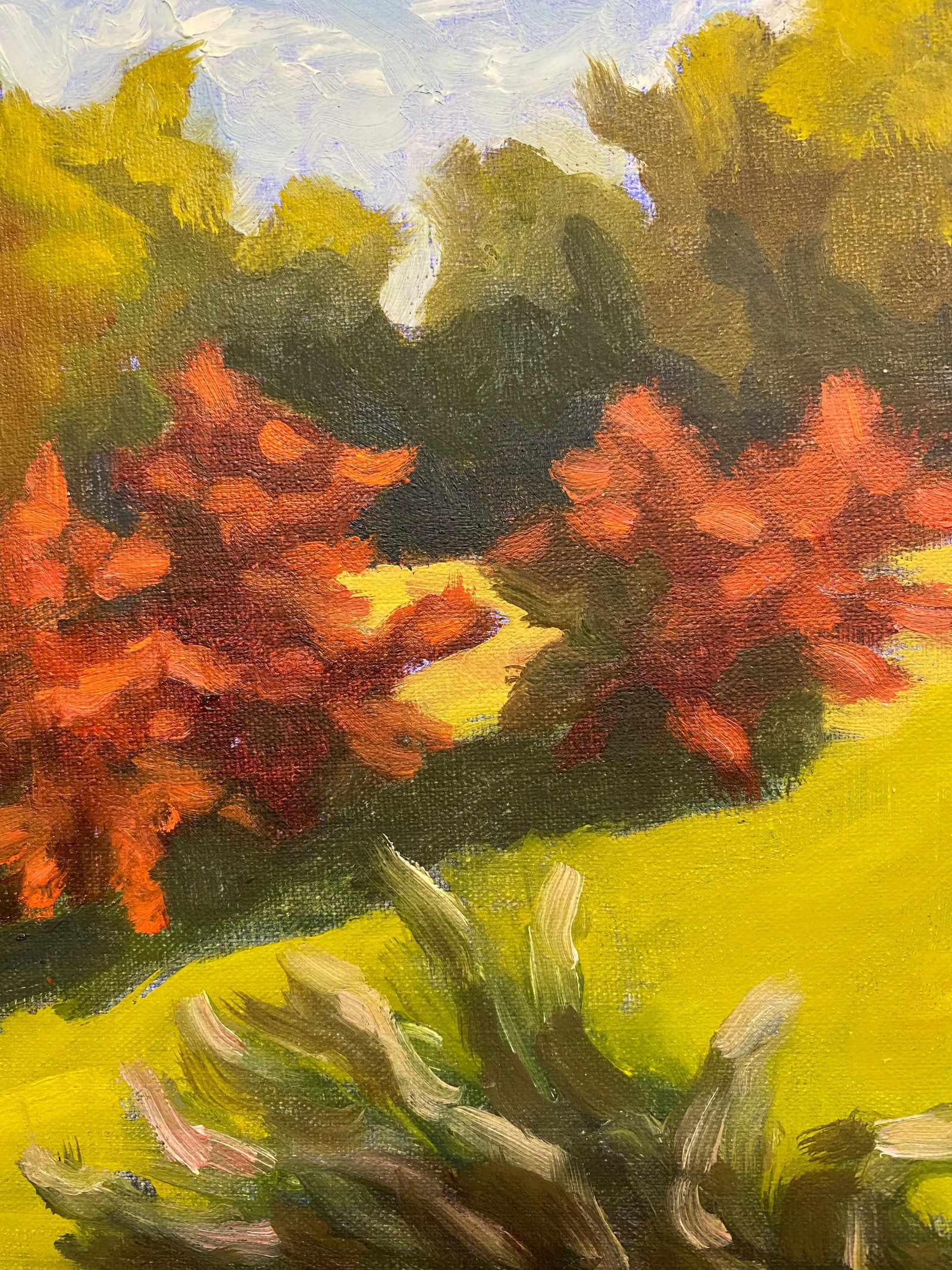 Contemporary Landscape Oil Painting "Red Foliage" by Teresa DiMarco - 3