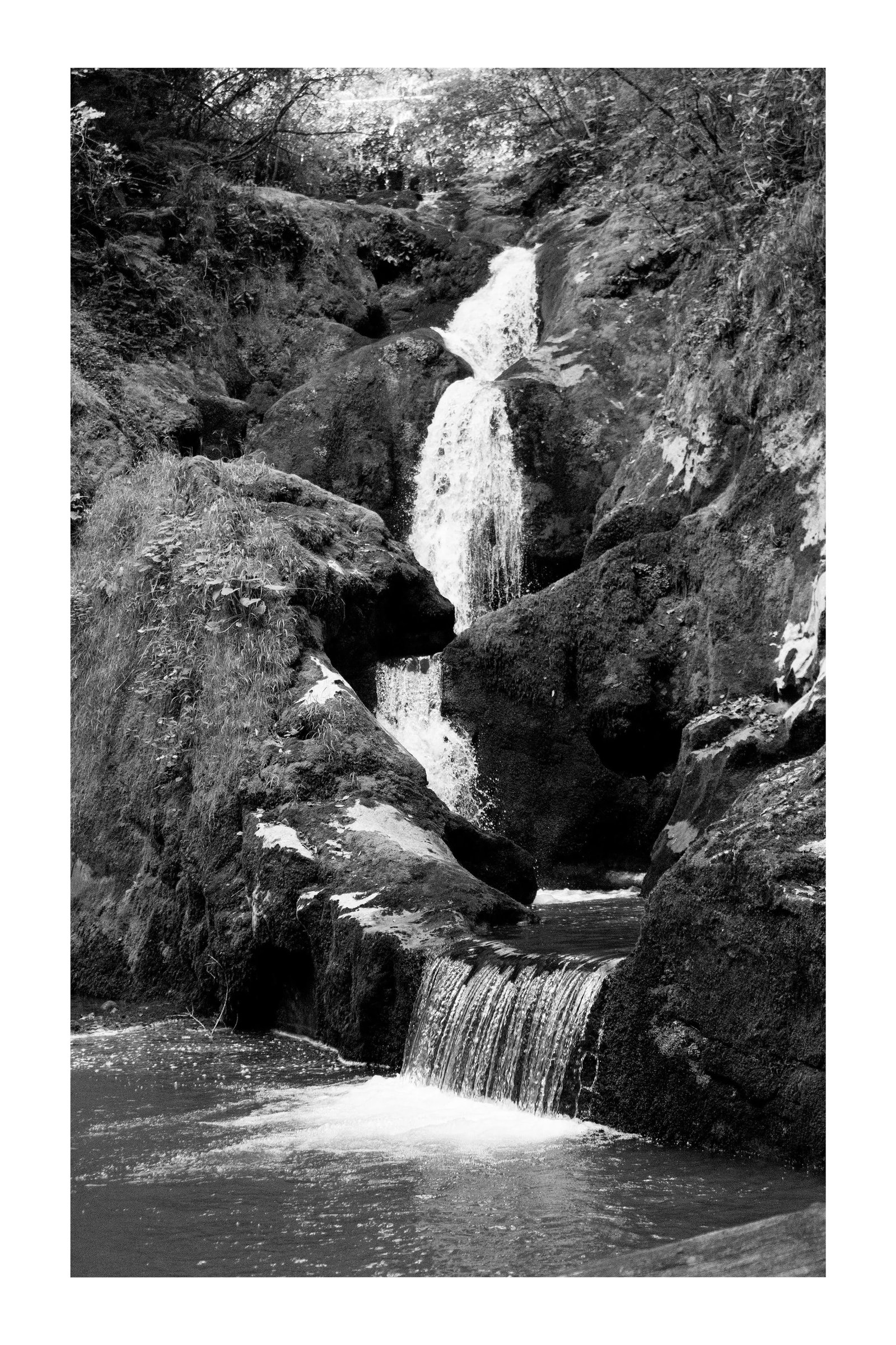 2021 "Zen Forest Waterfall" Black and White Landscape Giclee Print: This is an exclusive limited edition black and white Giclee print, on 100% cotton Hahnemuhle Photo Rag Fine Art matte paper. This beautiful black and white high contrast photograph is titled " Zen