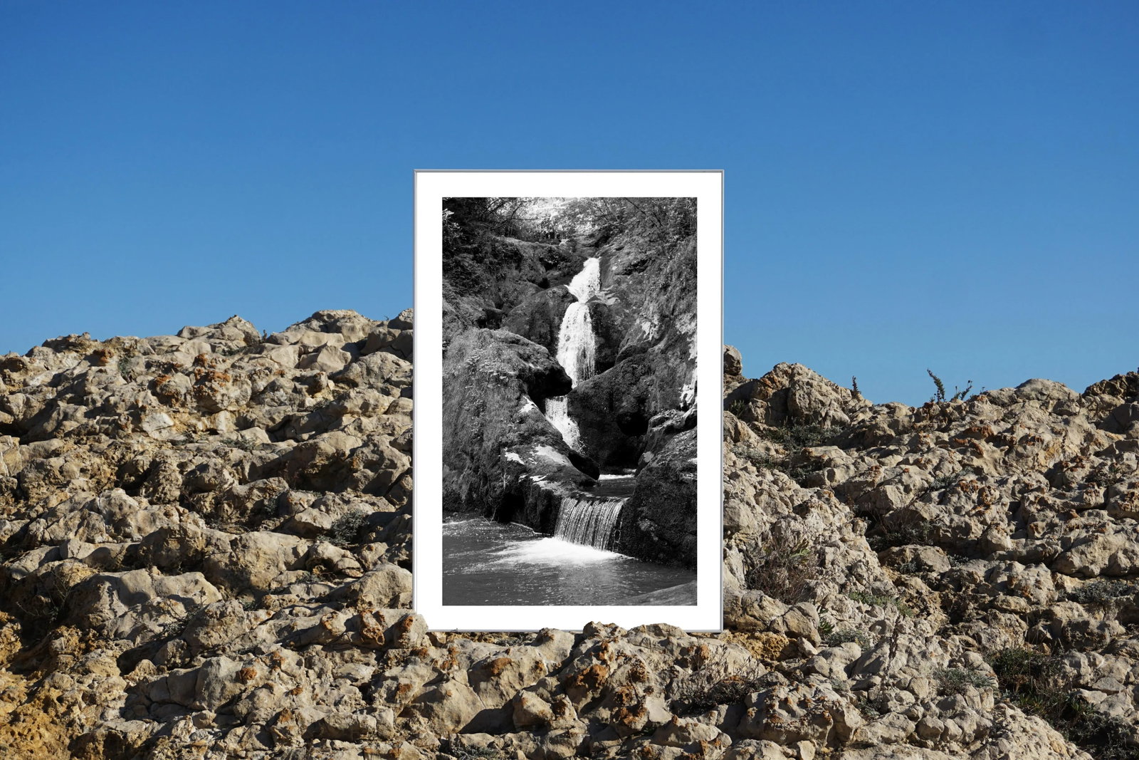 2021 "Zen Forest Waterfall" Black and White Landscape Giclee Print - 2